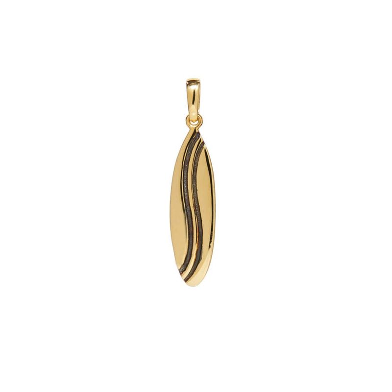 pingente-teen-surf-de-ouro-18k