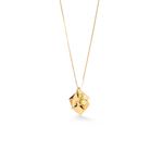 pingente-hera-p-em-ouro-amarelo-18k