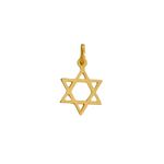 1560500a-pingente-estrela-de-davi-de-ouro-18k-pequeno-01